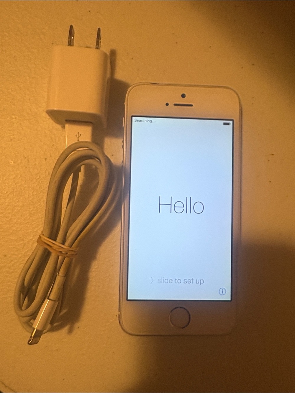 Apple iPhone 5s in Silver with White Lightning Cable and Wall Adapter Sprint